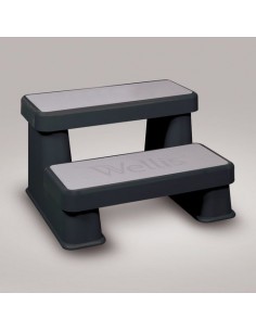Spa escalier Wellis