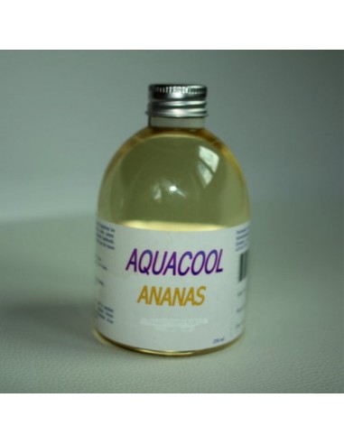 Aquacool Ananas  250ml