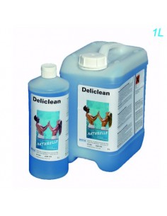 Deliclean 1 lt
