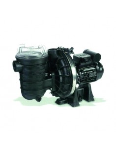 Pompe sta-rite duraglas...