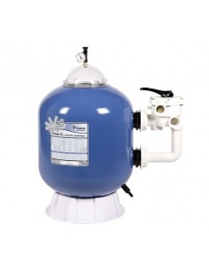 Filtre triton TR 100